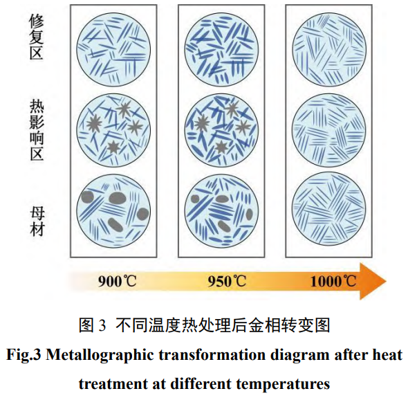 熱處理溫度對(duì)激光沉積修復(fù)TA15高溫疲勞性能影響